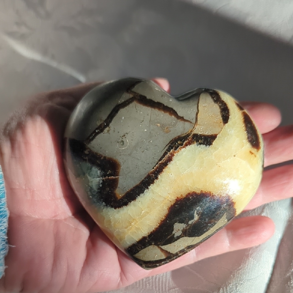 Sepetarian fossil  Heart-Shaped Stone Decor 60 million years old